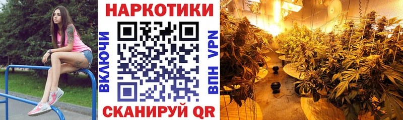 Где найти наркотики Чапаевск КОКАИН  МАРИХУАНА  Alpha PVP  Псилоцибиновые грибы  МЕФ  ГАШИШ 