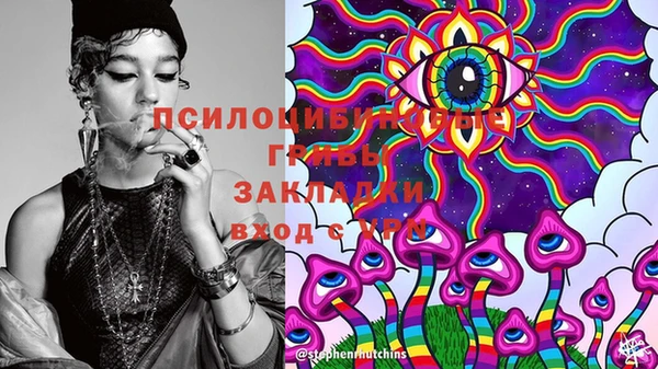гашик Абинск