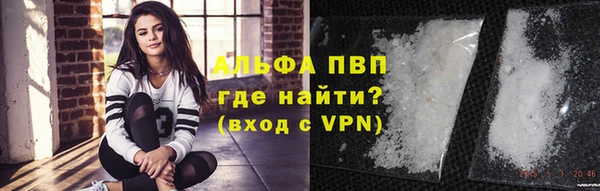 гашик Абинск