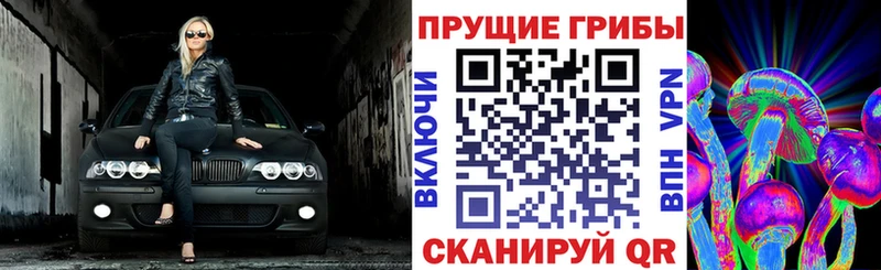 darknet телеграм  Чапаевск  Псилоцибиновые грибы Cubensis 