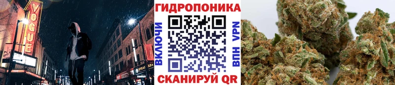 Конопля VHQ  OMG ссылки  Чапаевск 